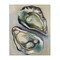 Stupell Industries Nautical Oyster Duo Canvas Wall Art Design by Daphne Polselli